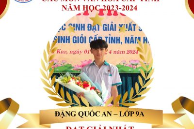 Vinh danh học sinh đạt thành tích cao trong kì thi học sinh giỏi cấp tỉnh năm học 2023-2024